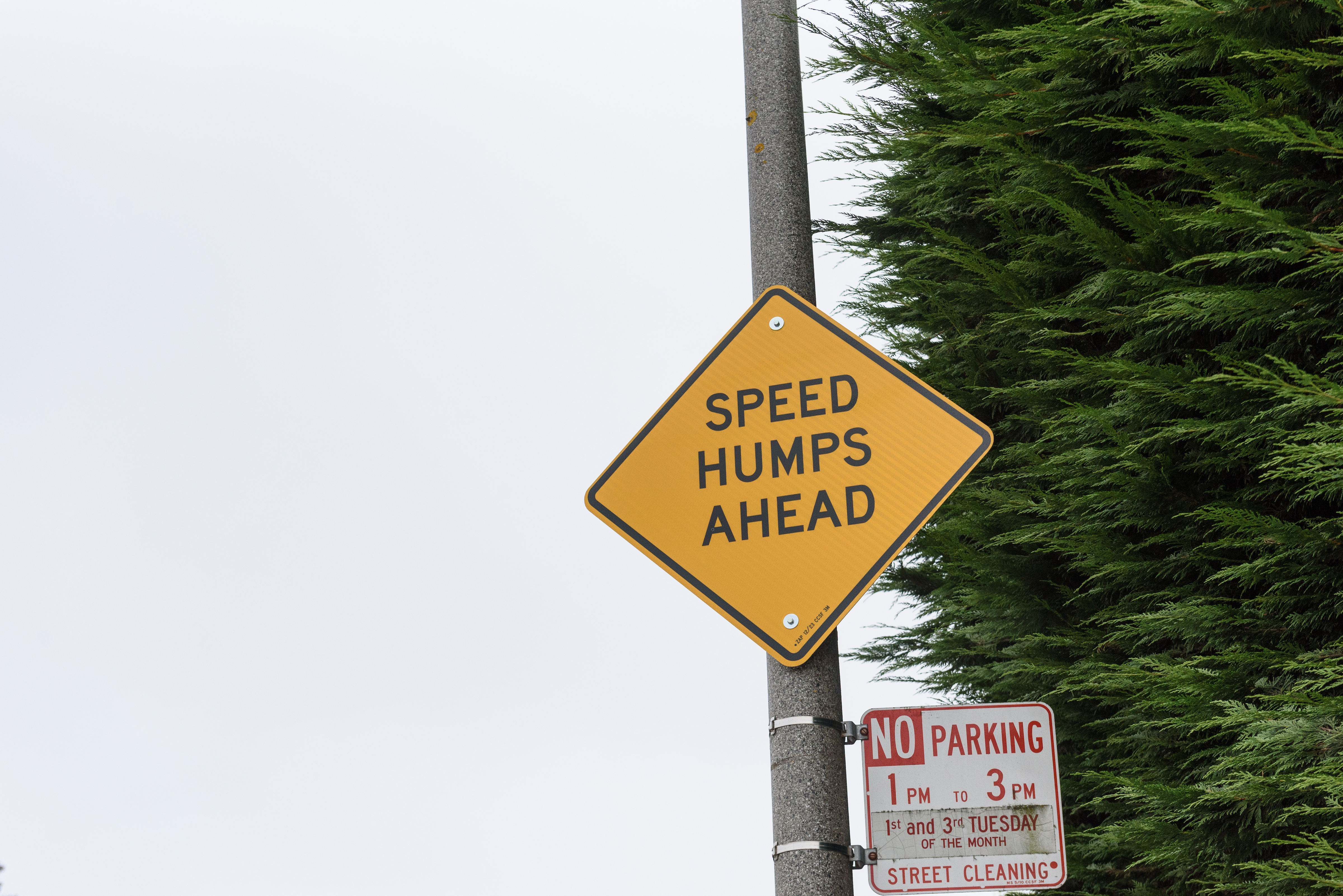 Residential Traffic Calming Program | SFMTA